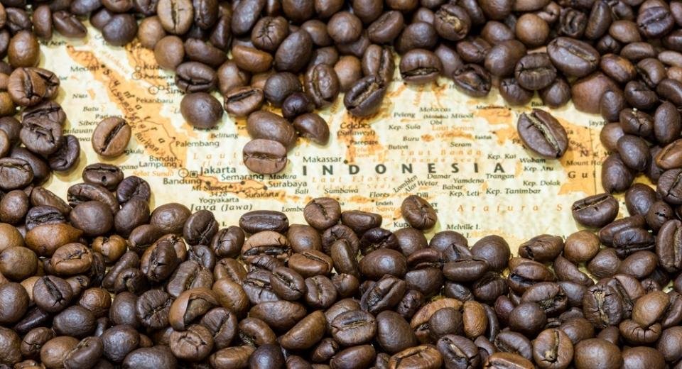 Indonesia Coffee Robusta Types That You Need To Know  High quality coffee