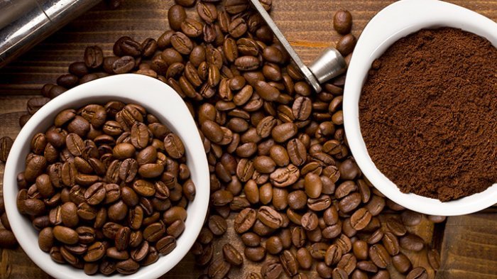 Kinds Of Espresso Sells in Local Coffee Producers Yogyakarta Region High quality coffee