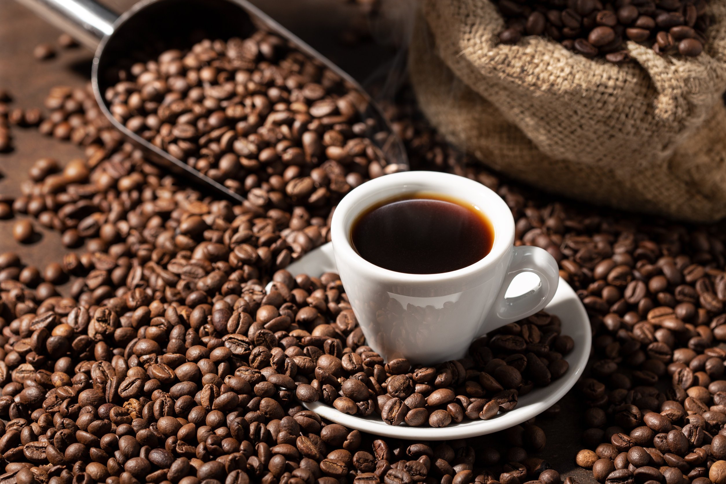 Need to Know About Yogyakarta Arabica and Robusta Exporters High quality coffee